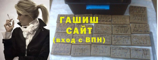 соль ск Инсар