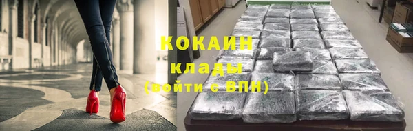 соль ск Инсар