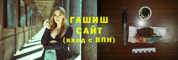 соль ск Инсар