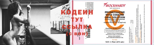 СК Иннополис