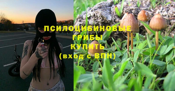MESCALINE Инта