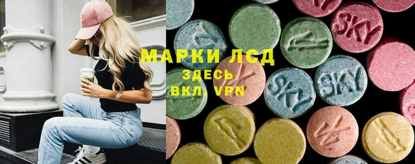 a pvp Каменногорск