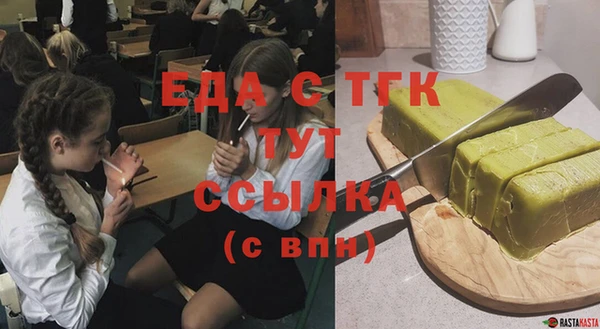 соль ск Инсар