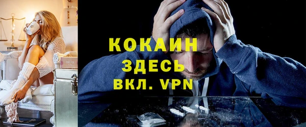 соль ск Инсар