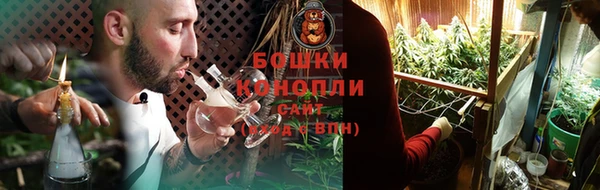соль ск Инсар