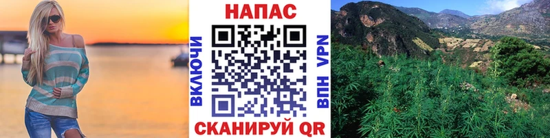 Шишки марихуана марихуана  Купить где  Вихоревка 